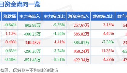 股票行情快报:深圳能源(000027)2月25日主力资金净卖出802.93万元
