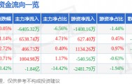 股票行情快报:首都在线(300846)8月20日主力资金净卖出6405.32万元