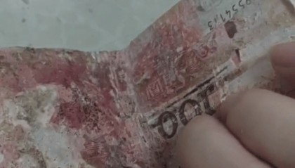 湖北三姐弟大把大把给父母钱花，老两口花不完将15万元现金埋在屋后地下，最近挖出发现已发霉粘连，银行工作人员7个小时救回11万多元