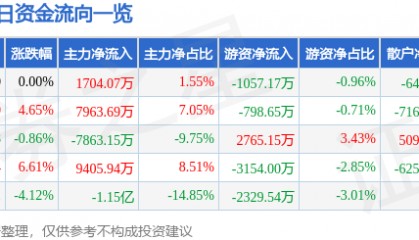 股票行情快报:远光软件(002063)2月24日主力资金净买入1704.07万元
