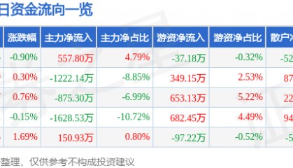 股票行情快报:深圳能源(000027)12月4日主力资金净买入557.80万元