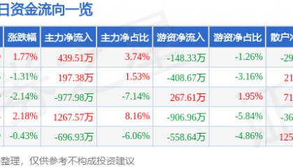 股票行情快报：飞马国际（002210）8月17日主力资金净买入439.51万元