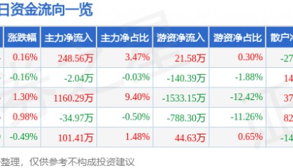 股票行情快报:深圳能源(000027)2月11日主力资金净买入248.56万元