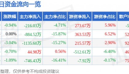 股票行情快报:森远股份(300210)10月16日主力资金净卖出216.03万元