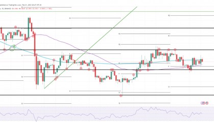 瑞波币最新价格(xrp瑞波币最新价格)