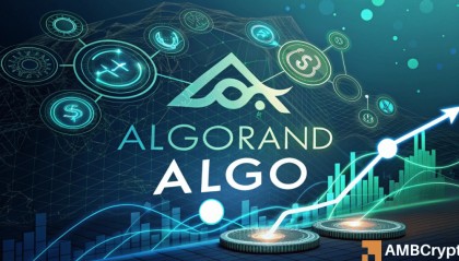 algo币(algo币的投资前景)