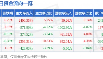 森远股份(300210)8月19日主力资金净买入2400.35万元