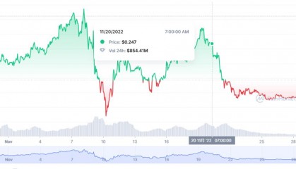 币圈割韭菜(币圈韭菜经历文章)