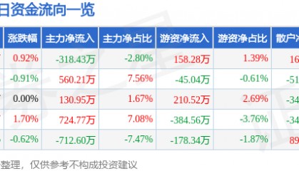 股票行情快报:深圳能源(000027)12月27日主力资金净卖出318.43万元