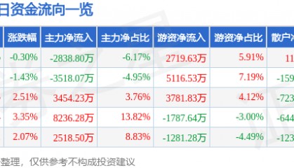 股票行情快报:京新药业(002020)8月1日主力资金净卖出2838.80万元
