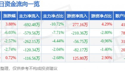 股票行情快报：龙头股份（600630）3月24日主力资金净卖出692.48万元