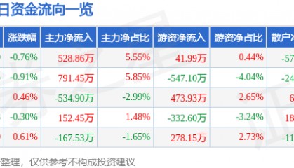 股票行情快报:深圳能源(000027)12月20日主力资金净买入528.86万元
