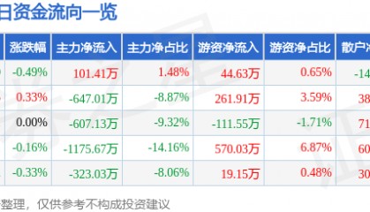 股票行情快报:深圳能源(000027)2月5日主力资金净买入101.41万元