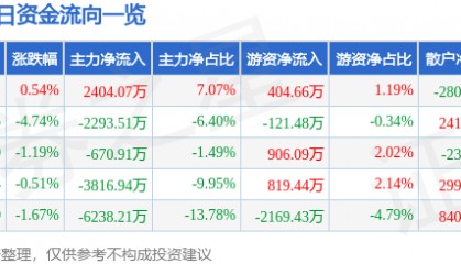 股票行情快报:东软集团(600718)3月3日主力资金净买入2404.07万元
