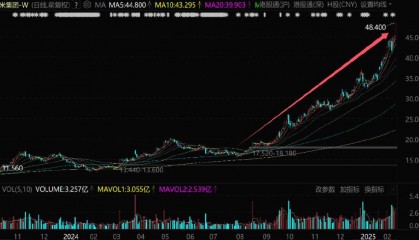 小米集团，血洗空头