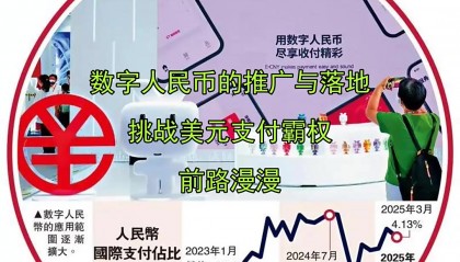 币圈路漫漫(币圈玩法和思路)