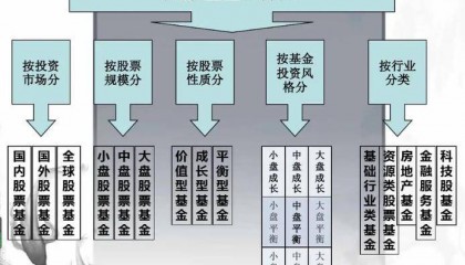 基金类型解析:股票型与债券型基金特点
