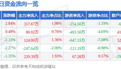 股票行情快报：飞马国际（002210）7月10日主力资金净买入317.67万元