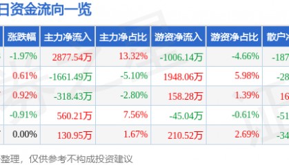 股票行情快报:深圳能源(000027)12月31日主力资金净买入2877.54万元
