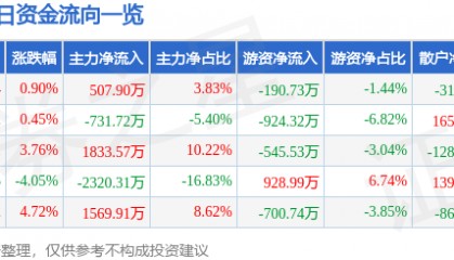 股票行情快报：飞马国际（002210）7月29日主力资金净买入507.90万元
