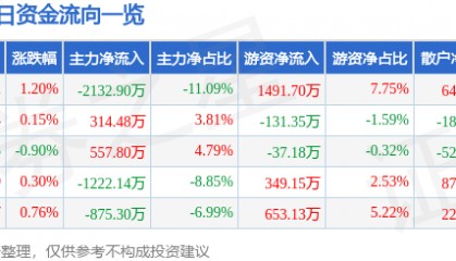 股票行情快报:深圳能源(000027)12月6日主力资金净卖出2132.90万元