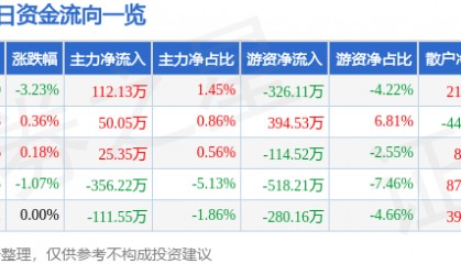 股票行情快报:中兴商业(000715)6月13日主力资金净买入112.13万元