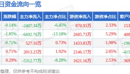 股票行情快报:远光软件(002063)3月18日主力资金净卖出2407.34万元
