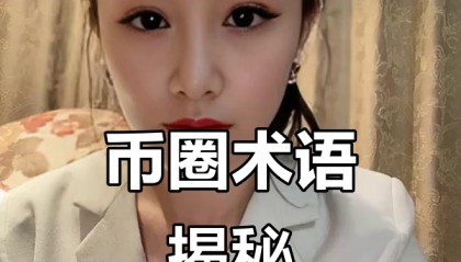 币圈术语(币圈术语100句)