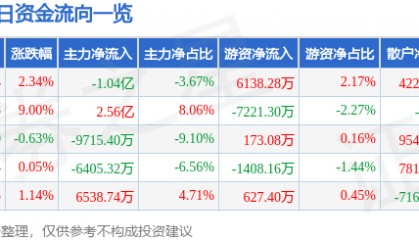 股票行情快报:首都在线(300846)8月25日主力资金净卖出1.04亿元