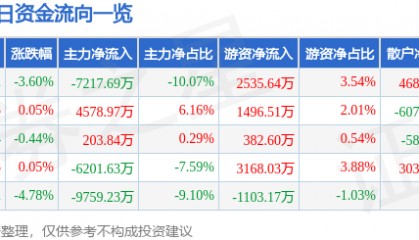股票行情快报:东材科技(601208)10月10日主力资金净卖出7217.69万元