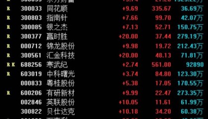 上周的活跃品种股票池集中在AI/IP经济(谷子经济)+华为概念+新能源汽车(固态电池)