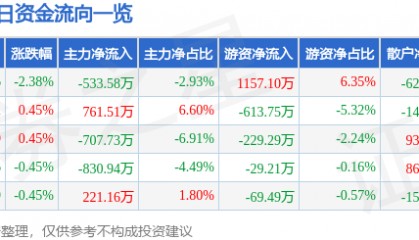 股票行情快报:深圳能源(000027)12月13日主力资金净卖出533.58万元