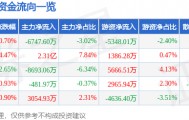 股票行情快报:中文在线(300364)9月11日主力资金净卖出6747.60万元