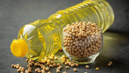 罕见一幕！印度为啥破天荒大量进口中国豆油？莫迪想要跟着美国跑，但是却离不开中国！