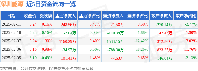 股票行情快报：深圳能源（000027）2月11日主力资金净买入248.56万元