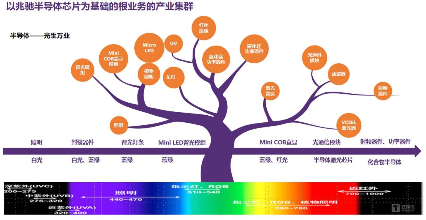 四大关键词，透视兆驰股份20周年盛典