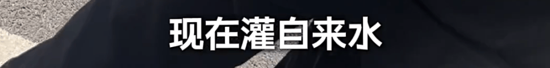 恶心!上海知名景区门口有人卖不明饮料,不少游客中招,城管部门已介入调查