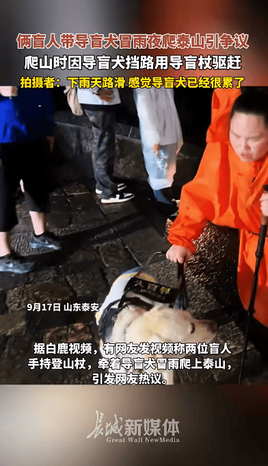盲人带导盲犬雨夜爬泰山引争议，导盲犬大连基地：暂停导盲犬使用，将派专人专车接回