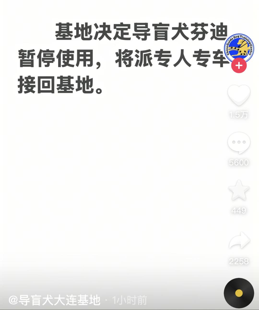 盲人带导盲犬雨夜爬泰山引争议，导盲犬大连基地：暂停导盲犬使用，将派专人专车接回