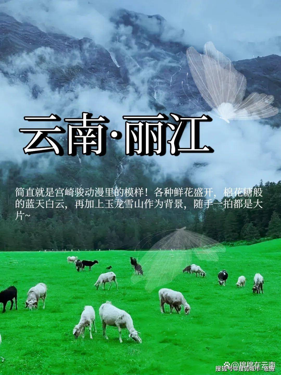 第一次去丽江旅游一定要看!丽江超全旅游攻略,太详细了!