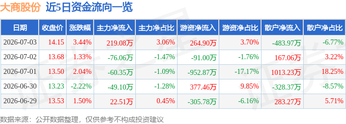 股票行情快报：大商股份（600694）7月3日主力资金净买入219.08万元