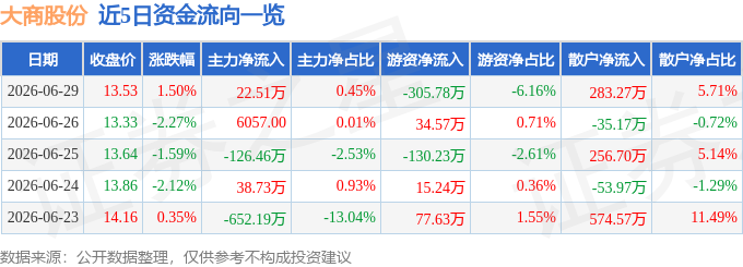 股票行情快报：大商股份（600694）6月29日主力资金净买入22.51万元