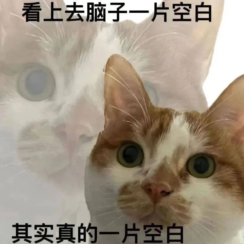 开学第一天，三个早餐公式记牢，助力孩子新学期“第一状态”