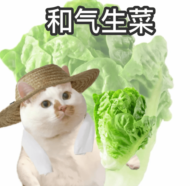 开学第一天，三个早餐公式记牢，助力孩子新学期“第一状态”