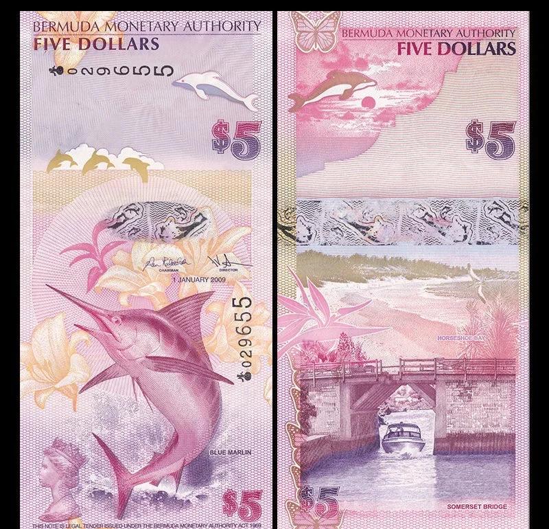 蓝币(蓝雨骨科双男主免费阅读笔趣阁) 蓝币(蓝雨骨科双男主免费阅读笔趣阁)