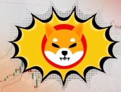 柴犬币价格(柴犬币价格今天行情)